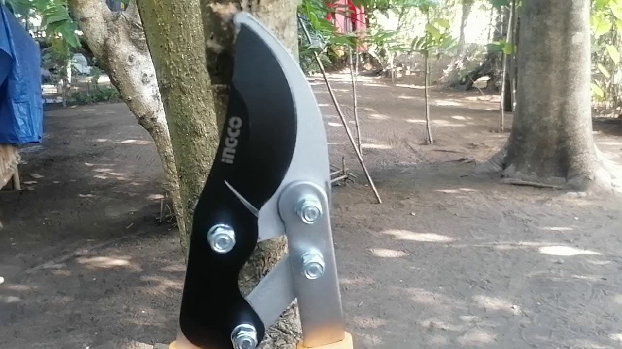 Miniatură video: INGCO Lopper 30" HLT7401 •BUILDMATE• from shopee