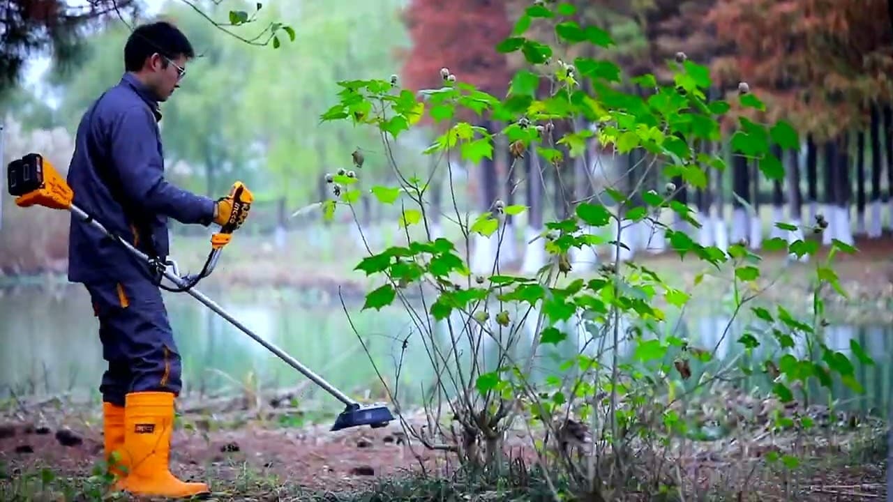Miniatură video: INGCO Lithium-Ion String Trimmer And Brush Cutter CSTLI20018