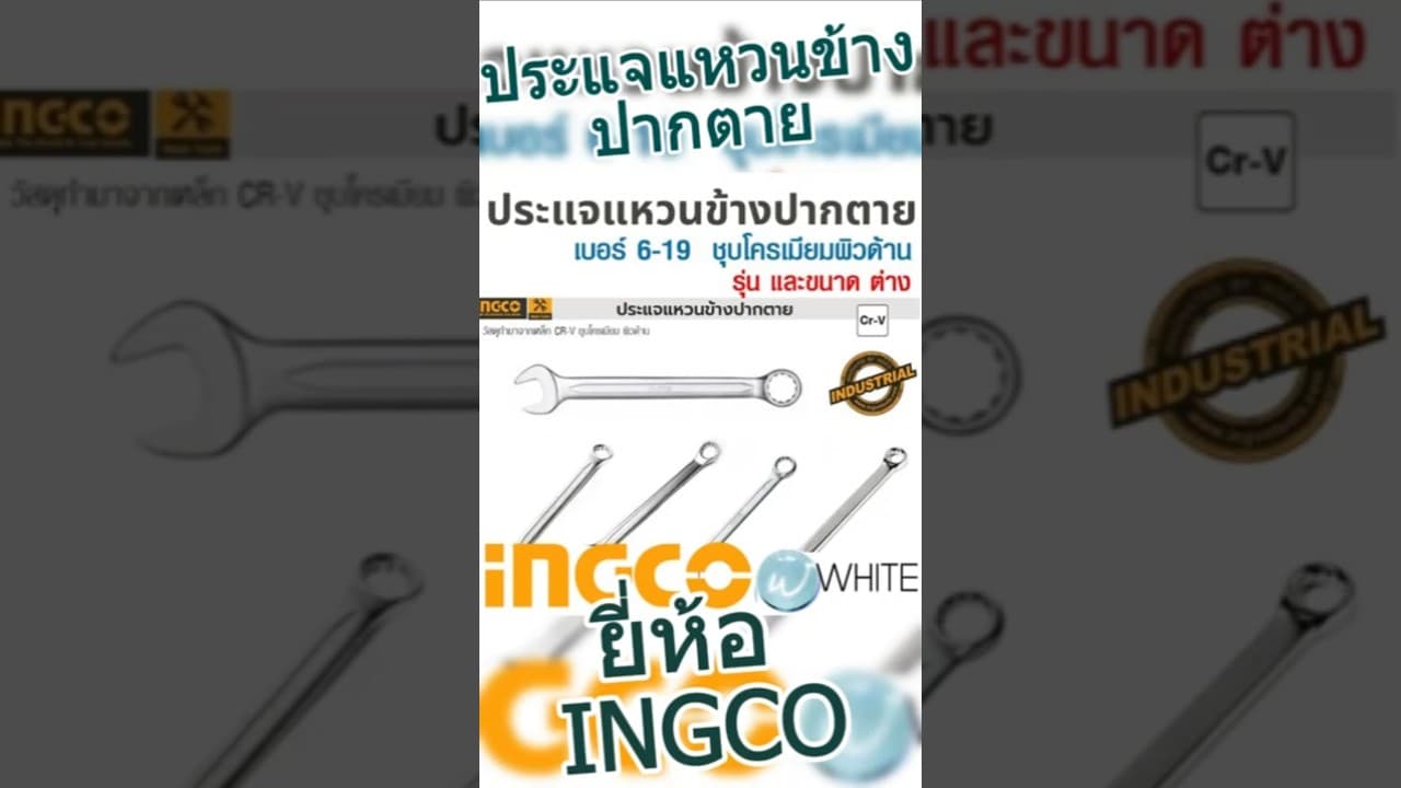 Miniatură video: ประแจแหวนข้างปากตาย รุ่น HCSPA191 เบอร์ 6-19 ชุบโครเมียมผิวด้าน รุ่น ยี่ห้อ INGCO  #WhiteMKT