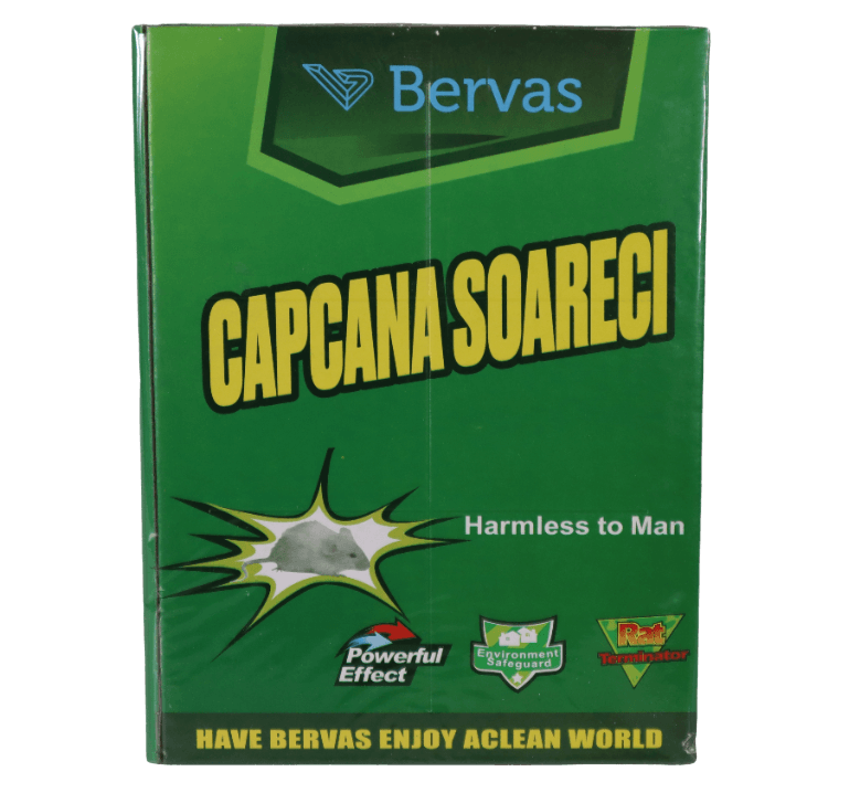 Carton cu Lipici Soareci