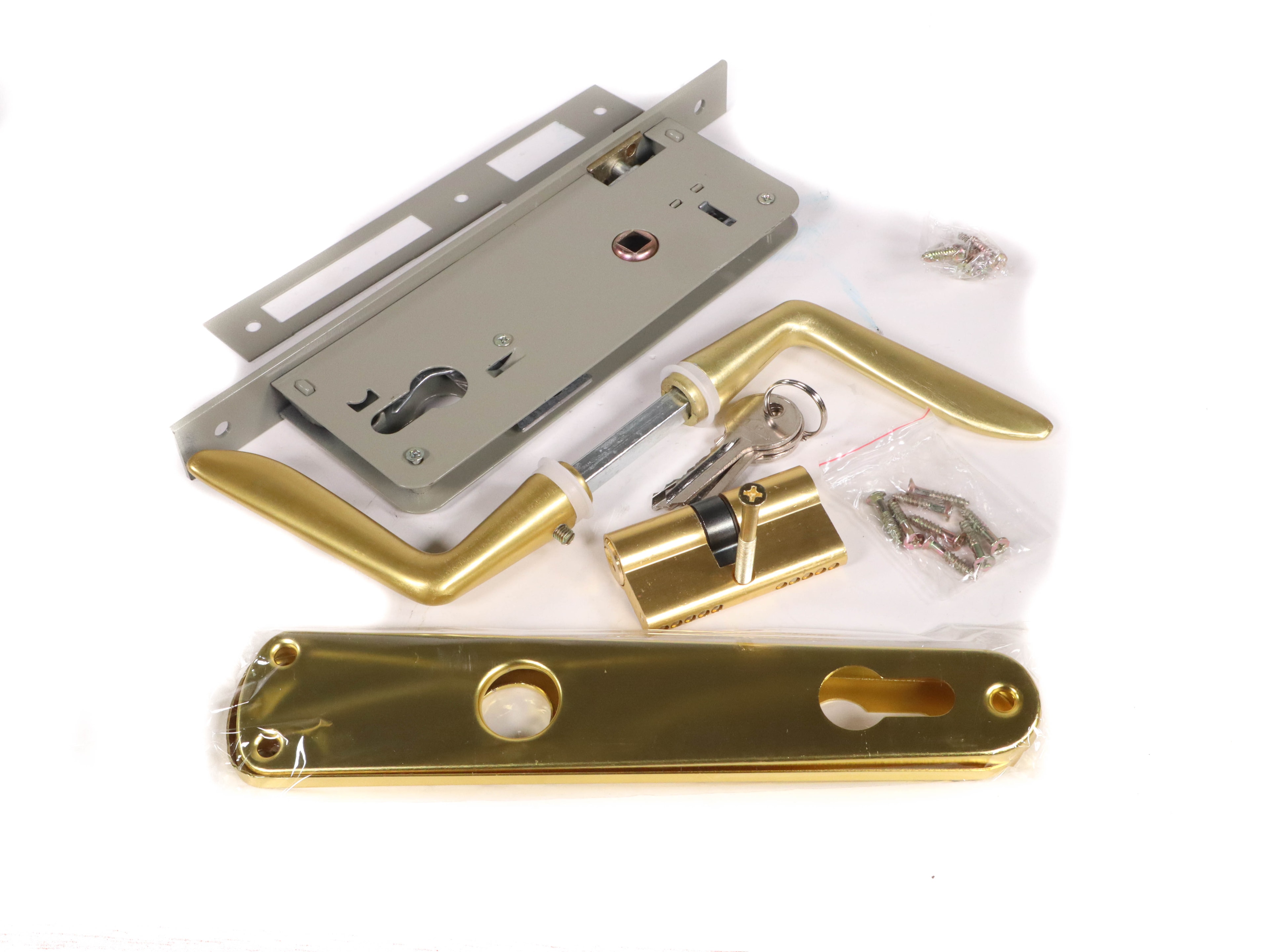 Broasca Yala Completa Aurie 9011 W