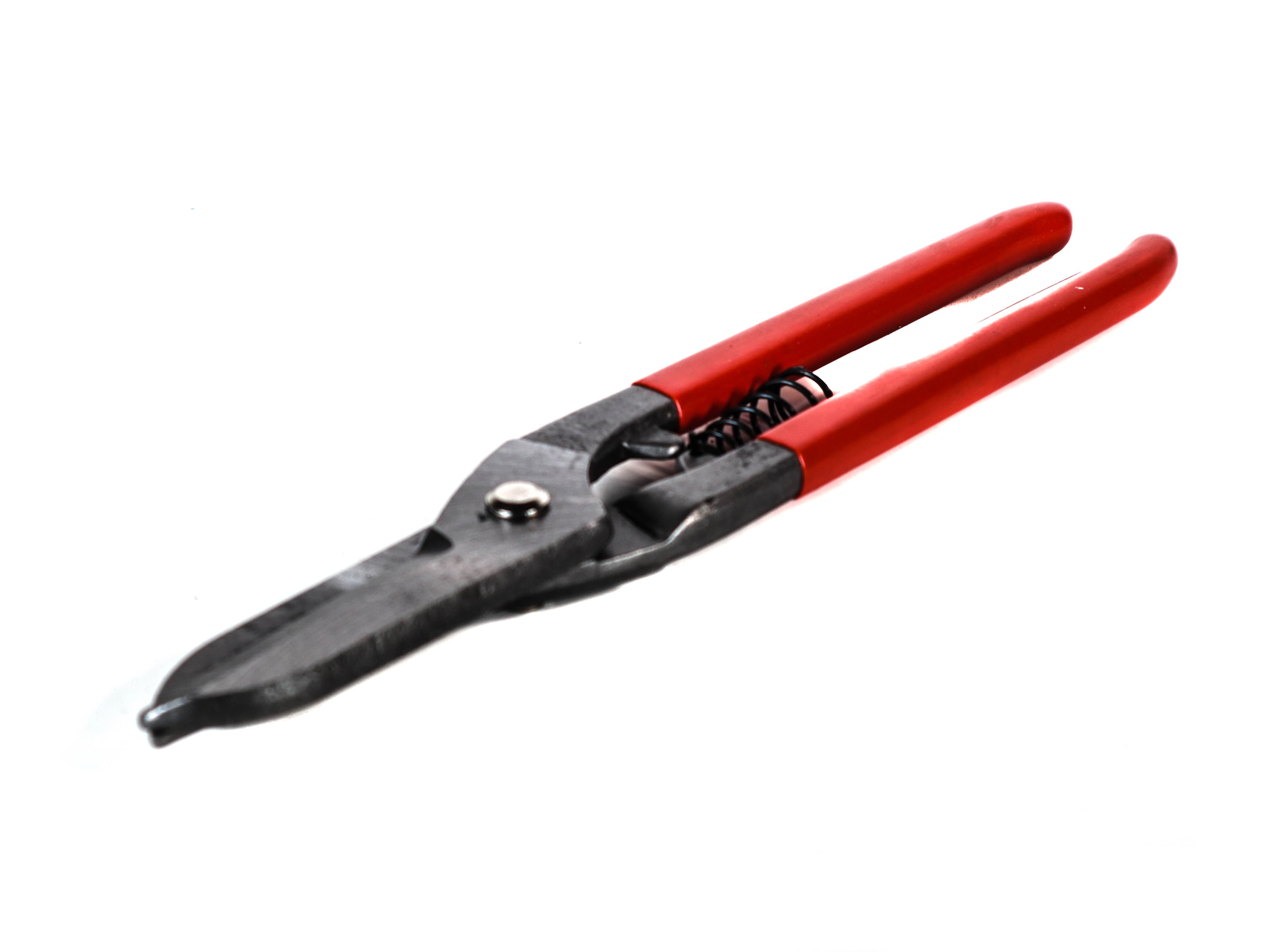 Cleste de Taiat Sarma 8'' Freed